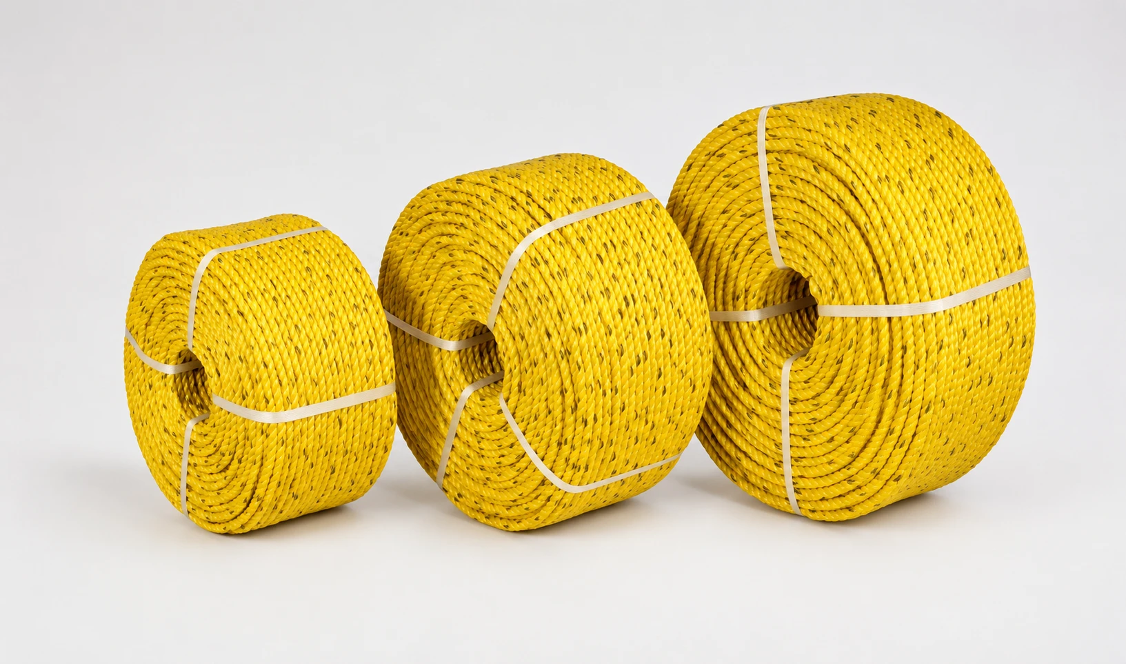 PP Ropes 2